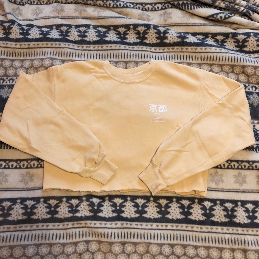 🌸SALE🌸 Urban Outfitters Kyoto Cropped Sweater